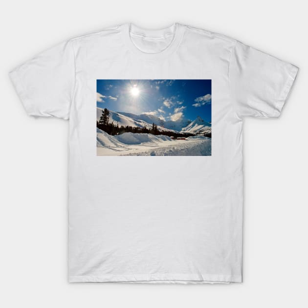 Canadian Rocky Mountains Icefields Parkway Canada T-Shirt by AndyEvansPhotos